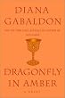 Dragonfly in Amber