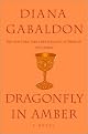 Dragonfly in Amber