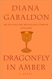 Dragonfly in Amber