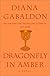 Dragonfly in Amber