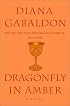 Dragonfly in Amber