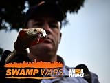Cannibal Gator