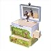 Horse Ranch Music Box