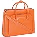 McKlein USA 9433 W Series Lake Forest Leather Women's Briefcase Color: Orange