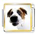 beagle33 - Beagle Animal Photo Italian Charms Bracelet Link