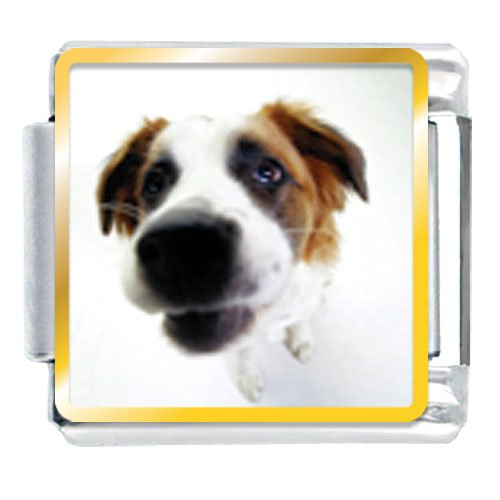 image link - - B000CQ34F0