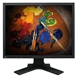 Eizo FlexScan S2100 LCD Monitor 1 x 21.3 Inch LCD Active Matrix TFT 0.27mm  ....