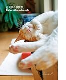 つぶやき猫　猫たちと過ごす日々 画像