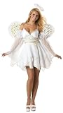 Heaven Sent Adult Costume