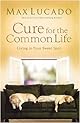 Cure for the Common Life (Lucado, Max)