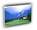 deer bull elk overlook A2 Large Canvas