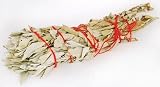 NEW Large California White Sage Stick (Smudge Sticks)