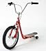 Sports : RollerBoard - BikeBoard - " Flame" - 16"
