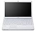 Sony Vaio VPC-EC1M1E/WI.G4 43,9 cm (17,3 Zoll) Notebook (Intel Core i3 330M 2,1GHz, 4GB RAM, 500GB HDD, ATI HD 5470, DVD, Win 7 HP)