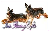 Alsation/German Shepherd Porcelain Salt & Pepper Collectable