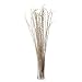 Lazy Susan Lontar Flower Stalk 5 Piece Bunch, Natural