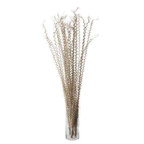 Lazy Susan Lontar Flower Stalk 5 Piece Bunch, Natural