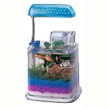 Razzle Dazzle Fish Aquarium with Light & Filter