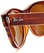 Ray-Ban RB4169 Laramie Wayfarer Sunglasses 53 mm, Non-Polarized, Striped Havana/Crystal Brown
