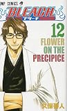 Bleach, Volume 12 (in Japanese)