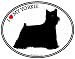 yorkshire_terrier11yorkshire terrier - YORKSHIRE TERRIER I LOVE MY YORKIE Dog Oval