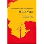 Approaches to Teaching Delillo's White Noise (Approaches to Teaching World Literature)