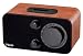 iHome IH14D AM/FM Table Radio for iPod (Black/Brown)
