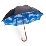 Sky Umbrella