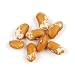 Jacob's Cattle Gold Beans, 10 Lb Bag/box (Dried)