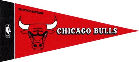 NBA Mini Chicago Bulls Pennant, (2-Pack)