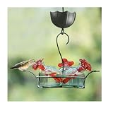 Hummingbird Feeder Gift Set