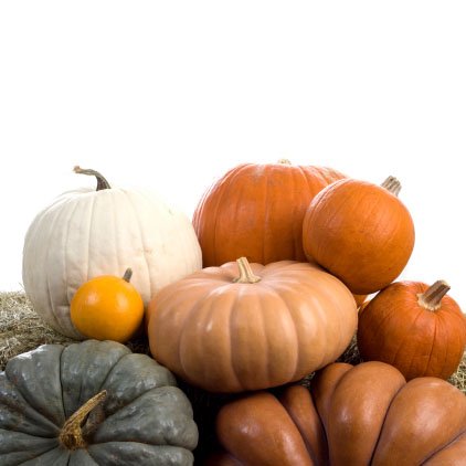25+ Seeds, Pumpkin 
