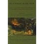 Old Norse Made New: Essays on the Post-Medieval Reception of Old Norse Literature and Culture