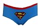 DC Comics Supergirl Glittering Logo Boy Brief Panty for women
