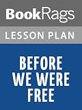 Before We Were Free Lesson Plans