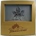 Lake Erie Monsters Large Logo 4x6 Picture Frame