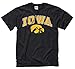 Iowa Hawkeyes Arch with Logo T-Shirt