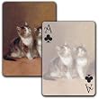 Kittens - Single Deck Playing Cards