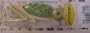 Fred Arbogast Hula Popper Green Frog Color