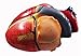 Herindera Human Heart Dissectable In 4 Parts Normal Size On Stand RS.300.00