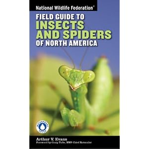 National Wildlife Federation Field Guide to Insects and Spiders and Related Species of... by Arthur V. Evans and Craig Tufts
