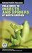National Wildlife Federation Field Guide to Insects and Spiders & Related Species of North America (National Wildlife Federation Field Guide)