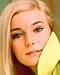 YVETTE MIMIEUX 11X14 COLOR PHOTO