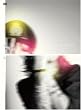 The 41st Birthday [DVD]