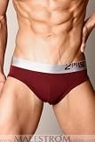2(X)ist CARBON No-Show Brief - Port