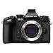 Top-Rated Compact System Cameras