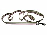 Striped Cotton Dog Leash, 1/2 Wide x 5' Long