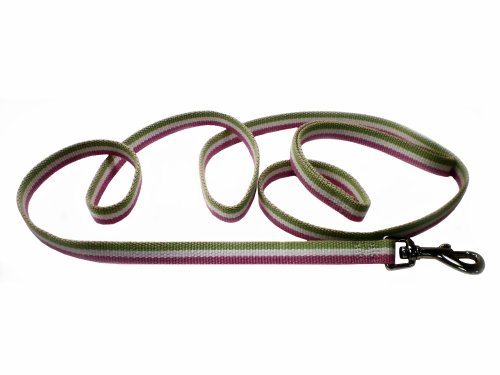 Striped Cotton Dog Leash, 1/2