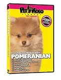 Pomeranian DVD, Dog Guide DVD, Books, Pet Accessory, Home & Garden