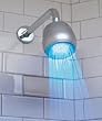 Hog Wild Temperature Controlled Shower Light